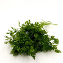 Italian Chervil, 50 Seeds
