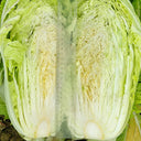 Maye Hot Pot Chinese Cabbage Seeds, 5 × 3g Bags