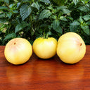 117 Swan Song Tomato, 5 Seeds