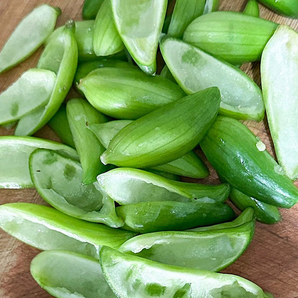 Slipper Gourd Seeds, 50 Seeds