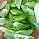 Slipper Gourd Seeds, 50 Seeds