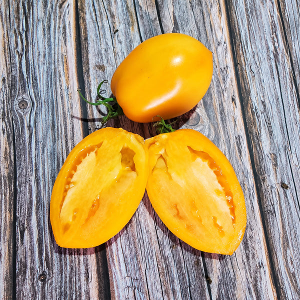 184 Malominusinsky Orange Tomato, 5 Seeds