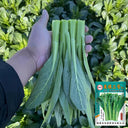 Meiqi No.3 Sweet Choy Sum Seeds, 10g