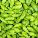 Slipper Gourd Seeds, 50 Seeds