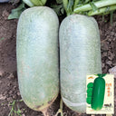 Jingcui Elite Fruit Radish Seeds, 10g