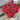 W1338 Double Zahara Cherry Zinnia, 5 Seeds