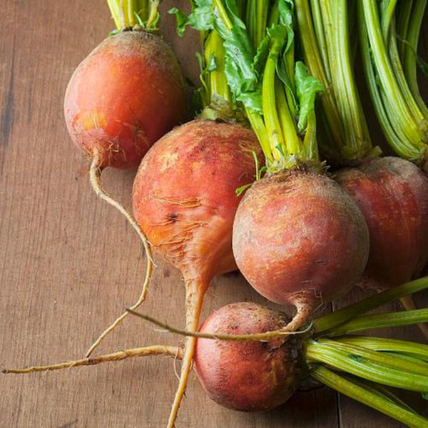 Yellow Beetroot Seeds, 2g