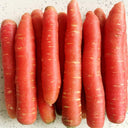 'Beauty Finger' Carrot Seeds, 10g