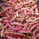 Dayu Red Golden Hook Snap Bean Seeds, 20g