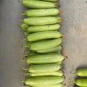 'Zhongnong Cuiyu No.4' Fruit Cucumber, 100 Seeds