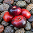 335 Dark Slice Tomato, 5 Seeds