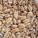 Pecan, 5 Seeds