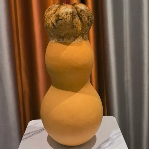 Small Lotus-head Gourd, 10 Seeds