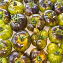 411 Xanadu Green Goddess Tomato, 5 Seeds