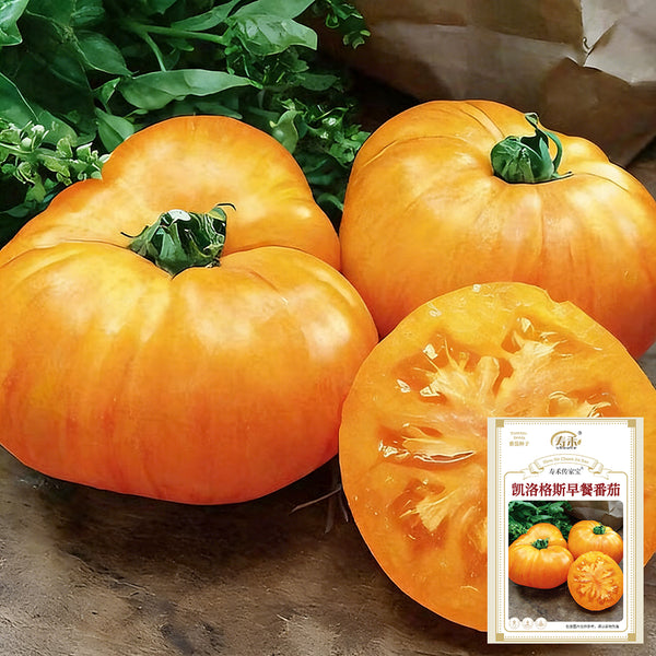 Kellogg's Breakfast Tomato, 10 Seeds