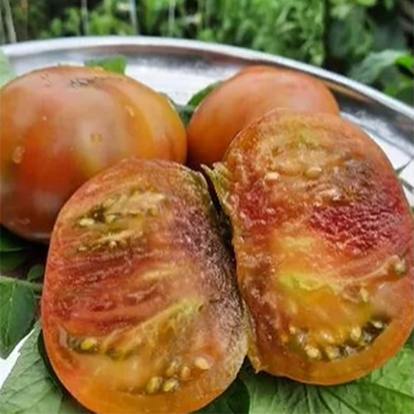 724 Purple Ambrosia Tomato, 5 Seeds