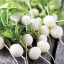 White Cherry Radish Hybrid Seeds, 50 Grams ≈ 5500 ~ 6500 Seeds