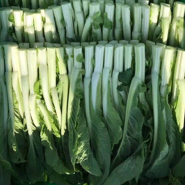 Xueying No. 2 Choy Sum Seeds, 10g