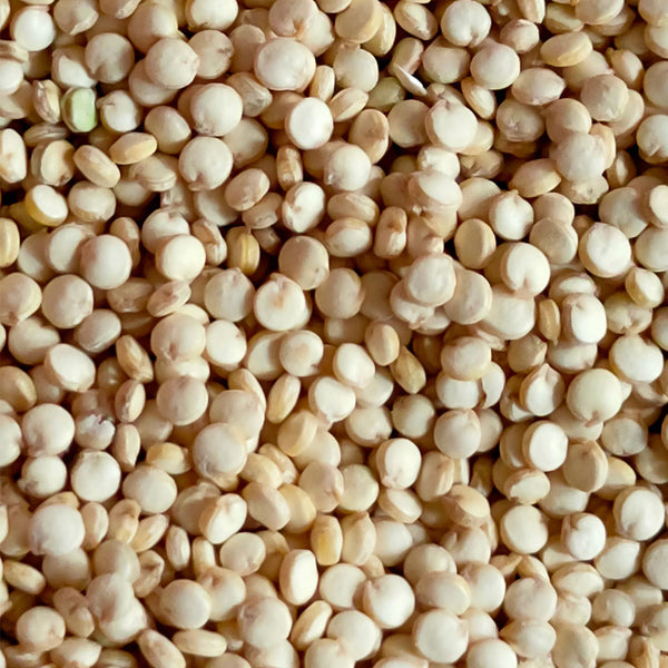 White Quinoa Planting Seeds, 30 Grams ≈ 10000 Seeds