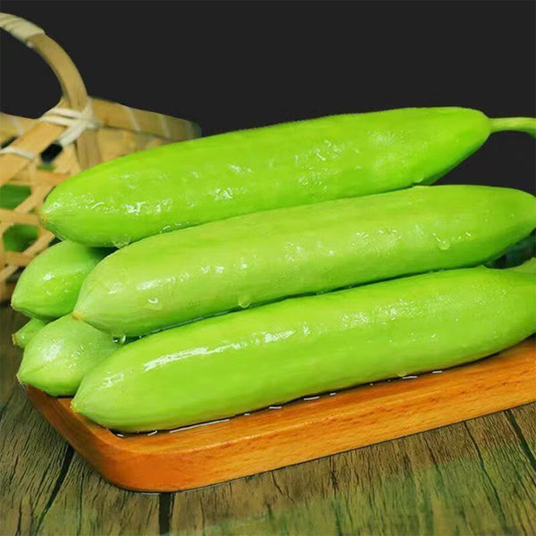 Cream No.3 Mini Cucumber Seeds, 10 Seeds