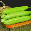 Cream No.3 Mini Cucumber Seeds, 10 Seeds