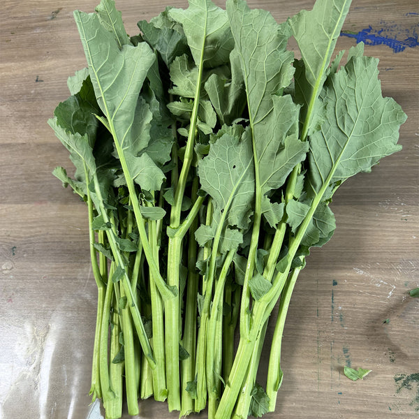 Lvyou No.10 Youcaitai Seeds, 10g