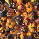 918 Orange Caramel Tomato, 5 Seeds