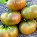 657 Yarson 7 Tomato, 5 Seeds
