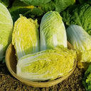 Huanai Baby Pak Choy Seeds, 10g