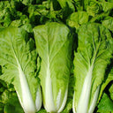 '168' Fast-Grow Bok Choy Seeds, 10g