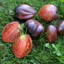 Cosmic Heart Rebel Space Warrior Tomato, 5 Seeds