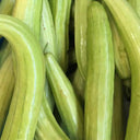 Green-veined Oriental Pickling Melon Seeds, 50 Seeds