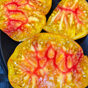 185 Tuxhorn's Red and Yellow Tomato, 5 Seeds