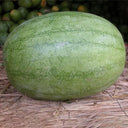 'Sweet Li' Yellow Flesh Watermelon Seeds, 20 Seeds