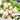 Dongsheng Baby Turnip Seeds, 10g