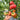 1128 Sagittarius Tomato, 5 Seeds