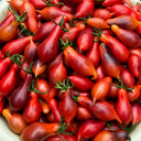 130 Kumquat Pink Opal Tomato, 5 Seeds