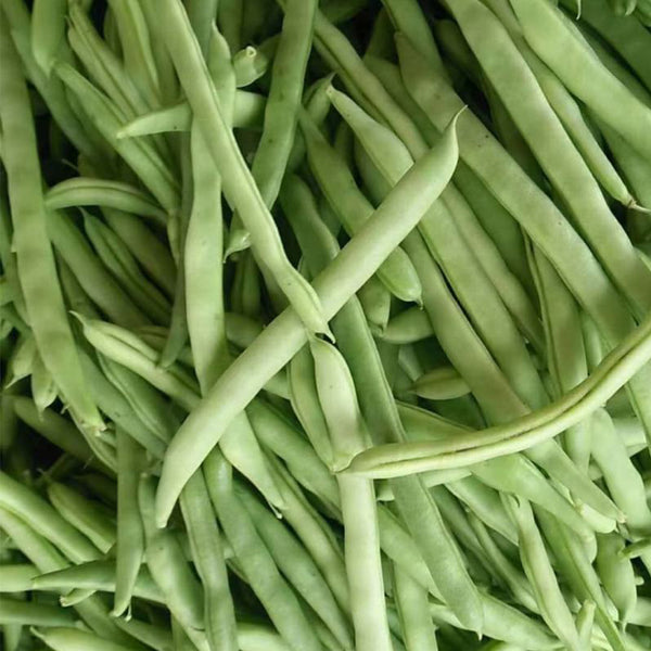 'Shuangqing No.35' Snap Bean Seeds, 25g