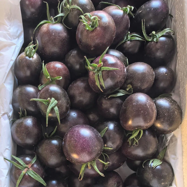 Black Enchantress Fruit Tomato, 100 Seeds