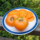 356 Barnes Mountain Yellow Tomato, 5 Seeds