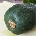 Little Darling Melon, 20 Seeds