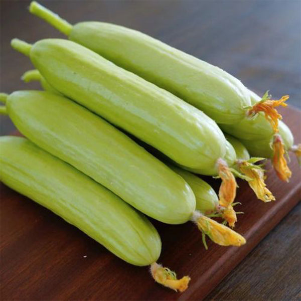 Cream No.3 Mini Cucumber Seeds, 10 Seeds