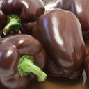 Coffee Fruit Sweet Pepper, 50 Seeds