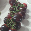 'Fairy Tale Sparkle' Tomato Seeds, 5 Seeds