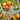 599 Cuore del Drago Tomato, 5 Seeds