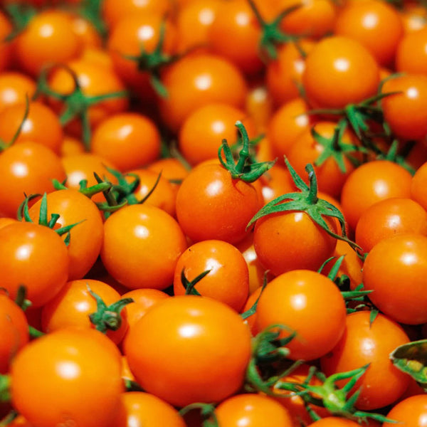 Golden Emperor Cherry Tomato, 200 Seeds