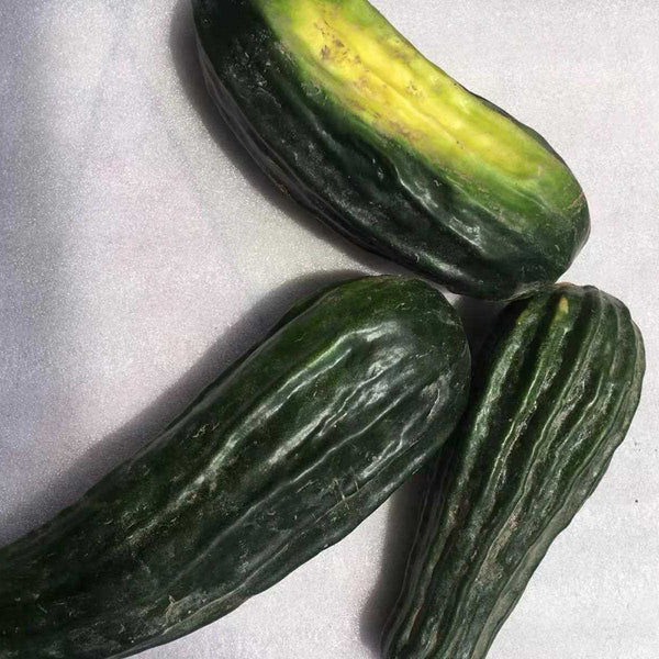 Black Ribbed Crisp Melon Seeds, 2g