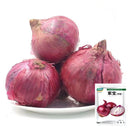 Royal Amethyst' Purple Onion Seeds, 5g