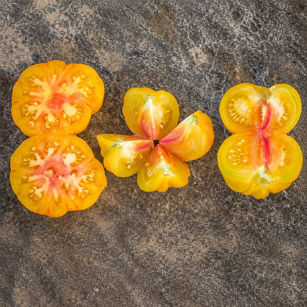 654 Wilthyme Bi-Color Tomato, 5 Seeds