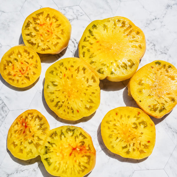 97 Honey Giant Tomato, 5 Seeds